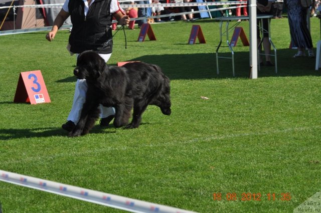 Фотография № 104075