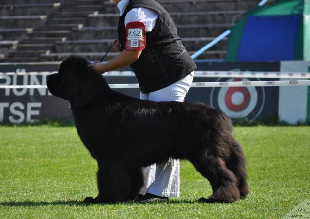 Фотография № 104077