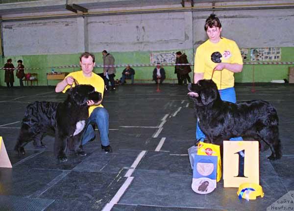 Фото: ньюфаундленд Plushevaya Panda Alex Show (Плюшевая Панда Алекс Шоу), ньюфаундленд Plushevaya Panda Anabella Beautiful (Плюшевая Панда Анабелла Бьютифул)