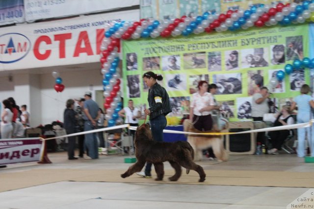 Фотография № 104118