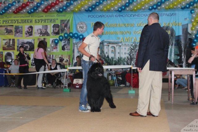 Фотография № 104120