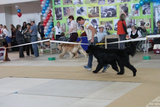 Фотография № 104122