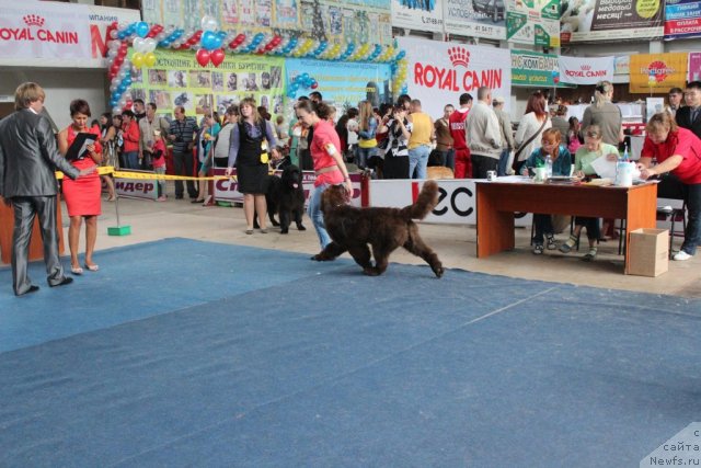 Фотография № 104132