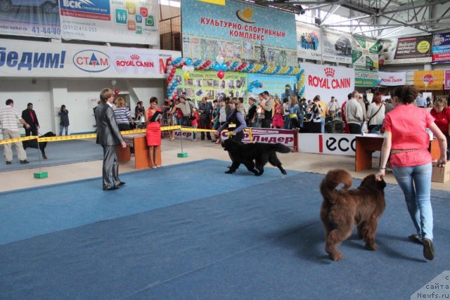 Фотография № 104133