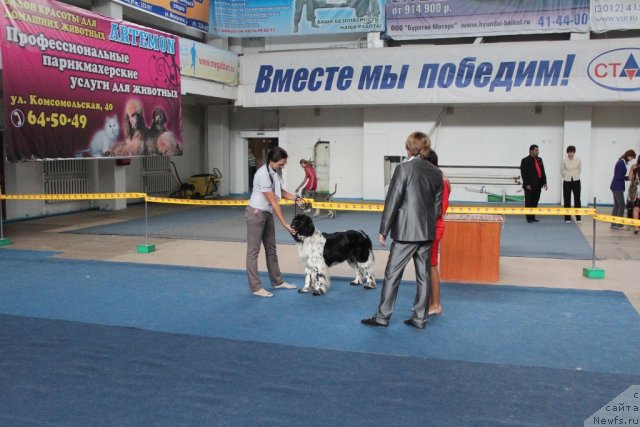 Фотография № 104138