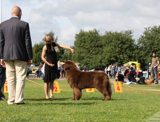 Фотография № 104140