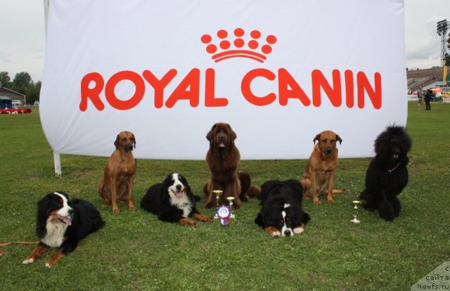 Фотография № 104141