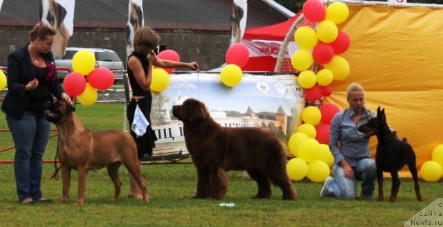 Фотография № 104143