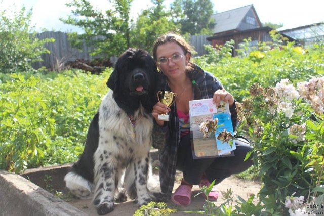 Фотография № 104170