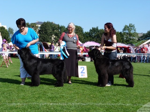 Фотография № 104188