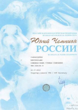 Фото: ньюфаундленд Plushevaya Panda Ustinja Savelevna (Плюшевая Панда Устинья Савельевна)