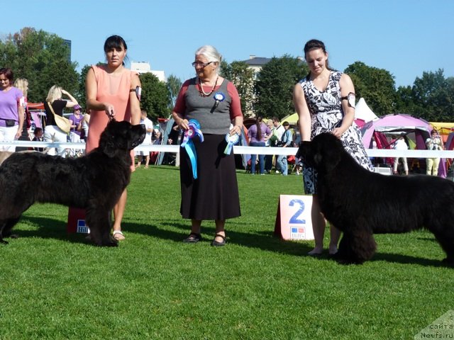 Фотография № 104195