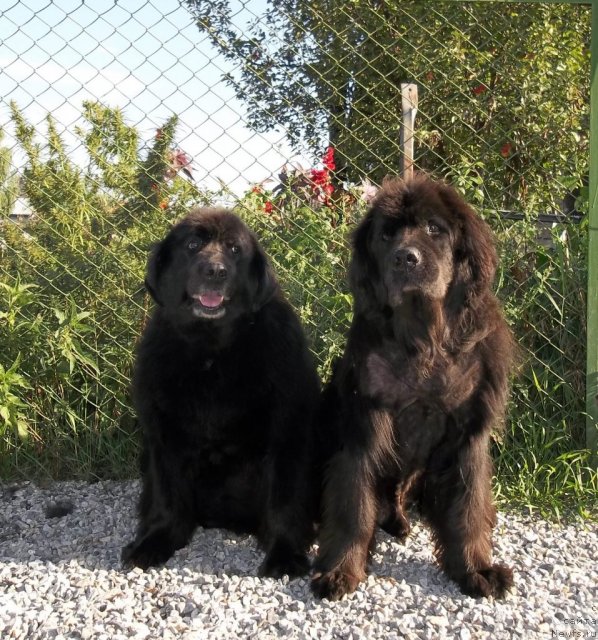 Фотография № 104243