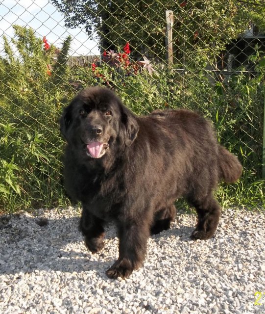 Фотография № 104244