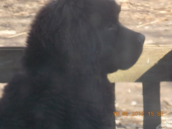 Фотография № 104255