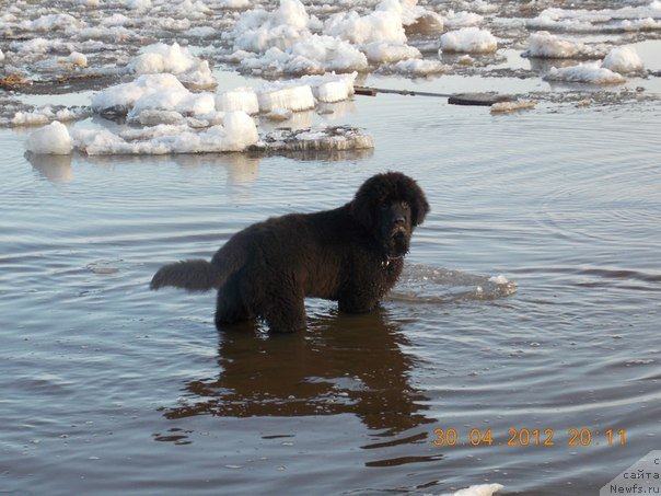 Фотография № 104257