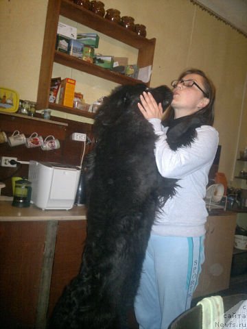 Фотография № 104259