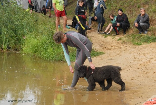 Фотография № 104270