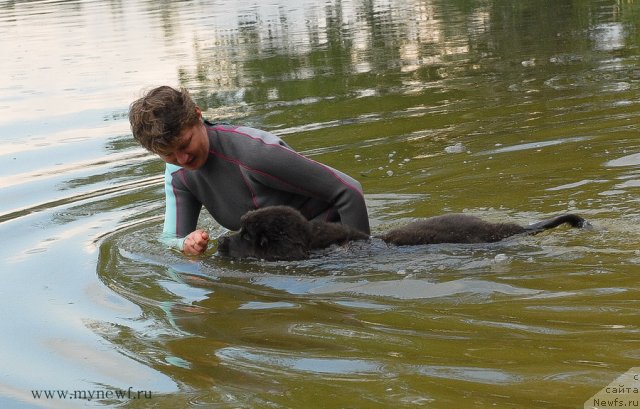 Фотография № 104272