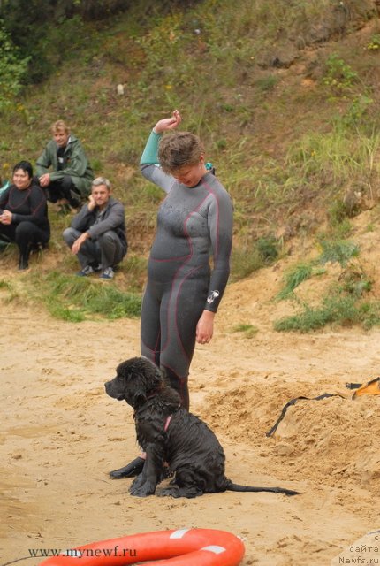 Фотография № 104274