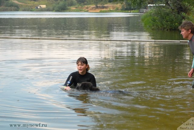 Фотография № 104275