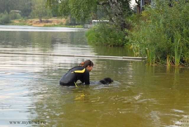 Фотография № 104277