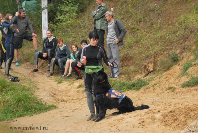 Фотография № 104278