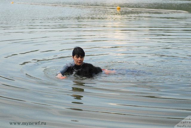 Фотография № 104284