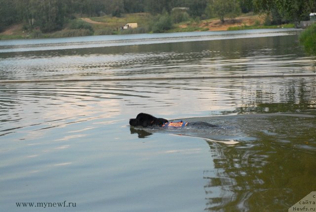 Фотография № 104290