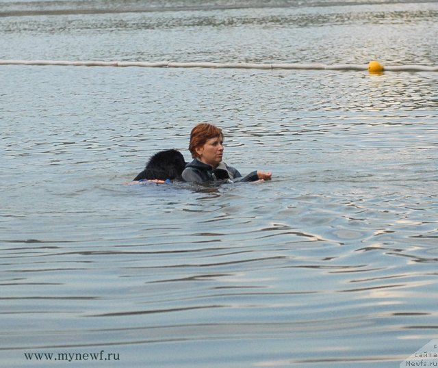 Фотография № 104293