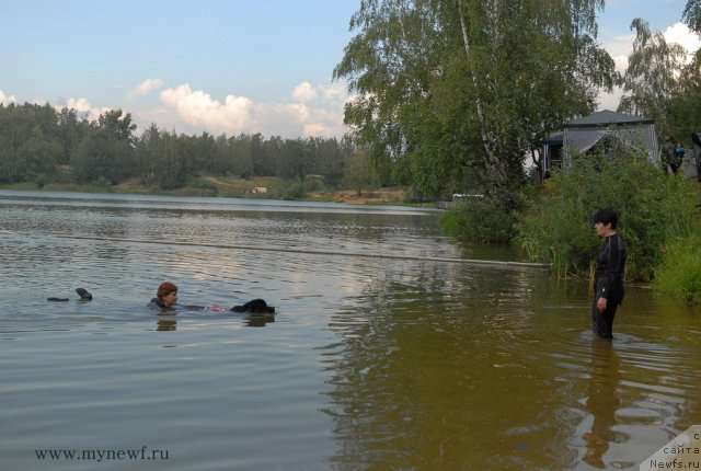 Фото: ньюфаундленд Belkonder-Club Ugli-Boogli (Белкондер-Клаб Угли-Бугли)