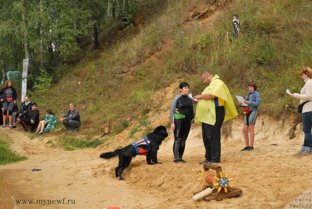 Фотография № 104297