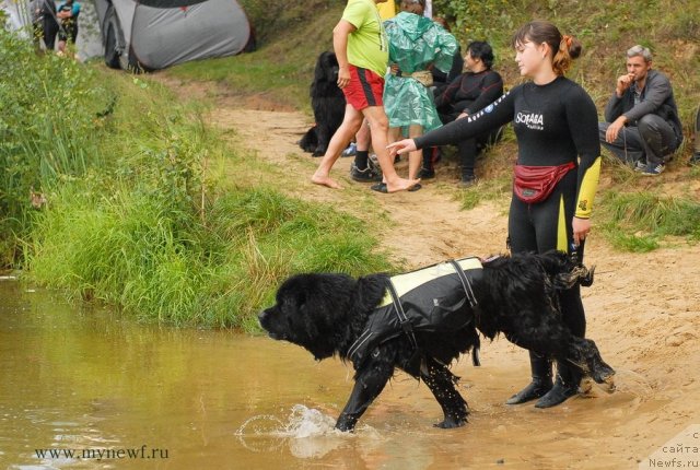 Фотография № 104302