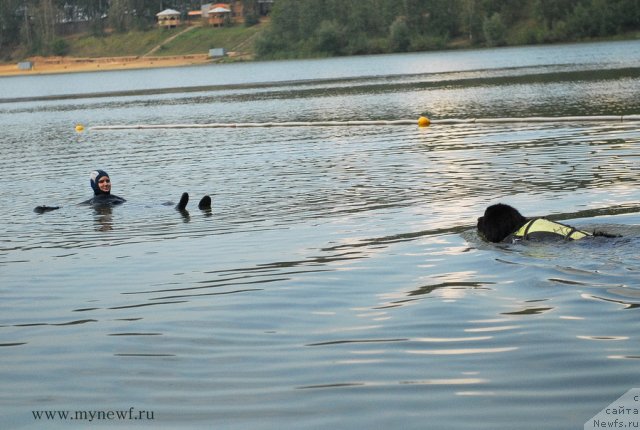 Фотография № 104303