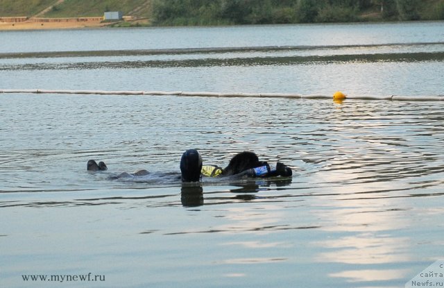 Фотография № 104308