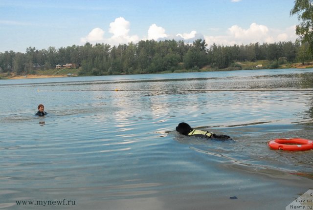 Фотография № 104311