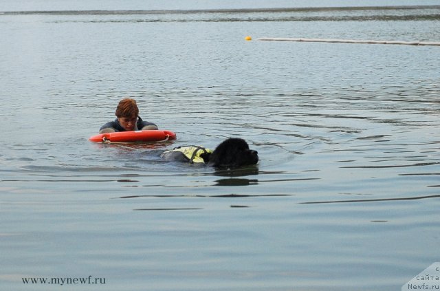 Фотография № 104313