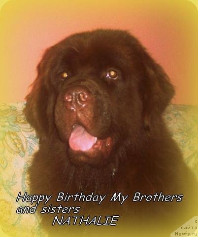 Фотография № 104316