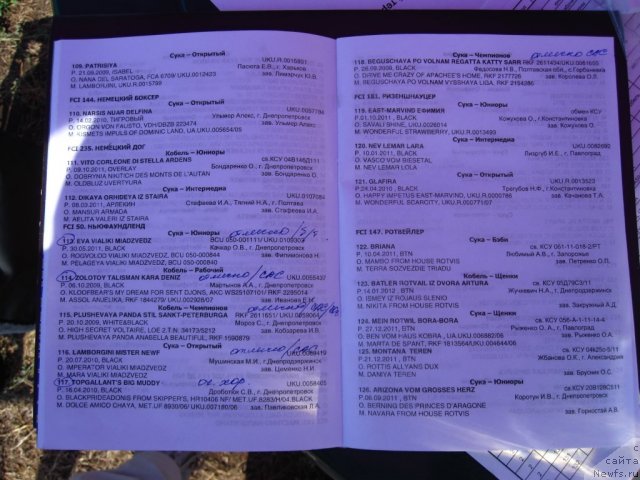 Фотография № 104317