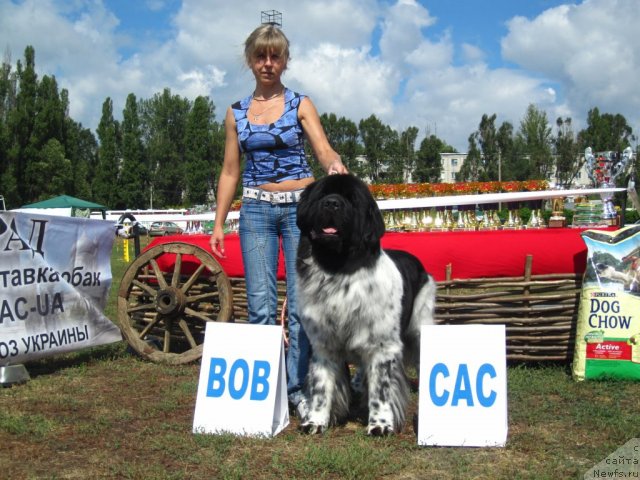 Фотография № 104318