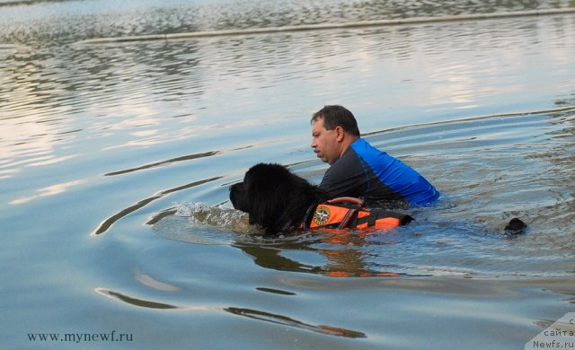 Фотография № 104320