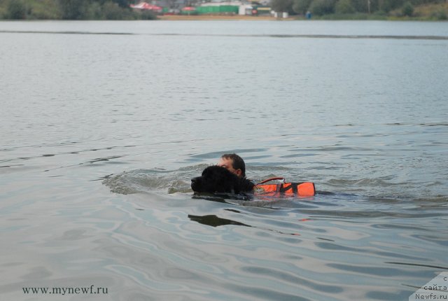 Фотография № 104321