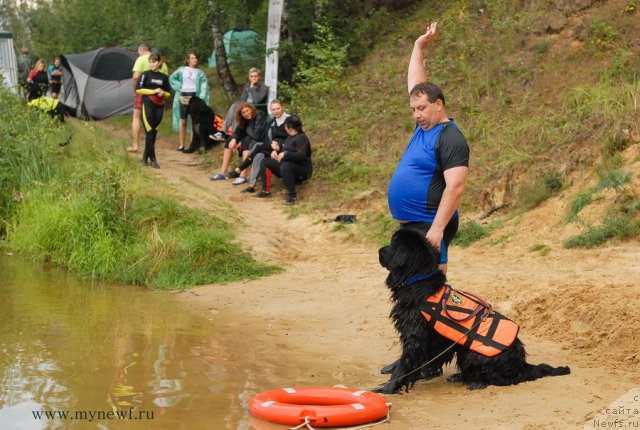 Фотография № 104322