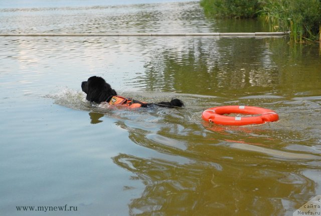 Фотография № 104323