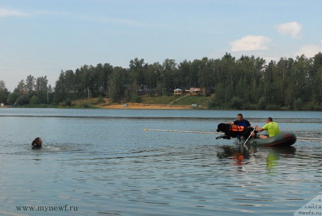 Фотография № 104330