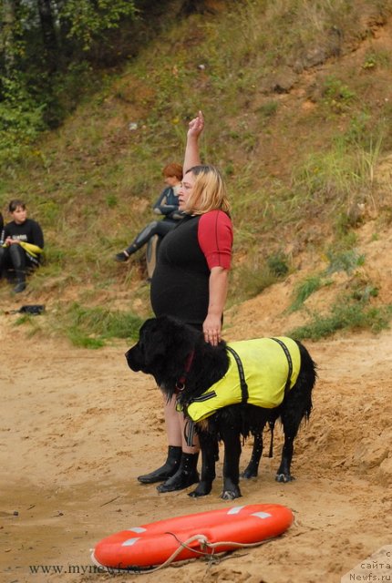 Фотография № 104333