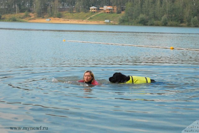 Фотография № 104334