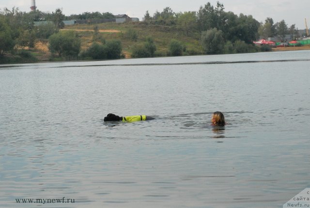 Фотография № 104336