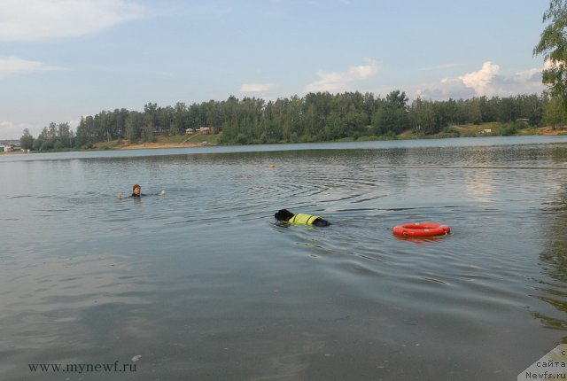 Фотография № 104340