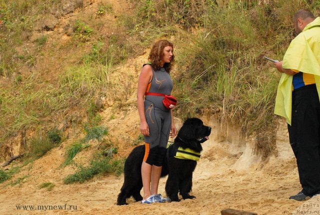 Фотография № 104345